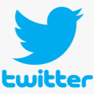 blue silhouette of a bird which is the Twitter Logo